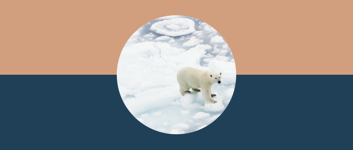 Formålet med programmet er bl.a. at fremme tværfagligt samarbejde om vedvarende energi, nye løsninger til energilagring og smart, grøn transport.