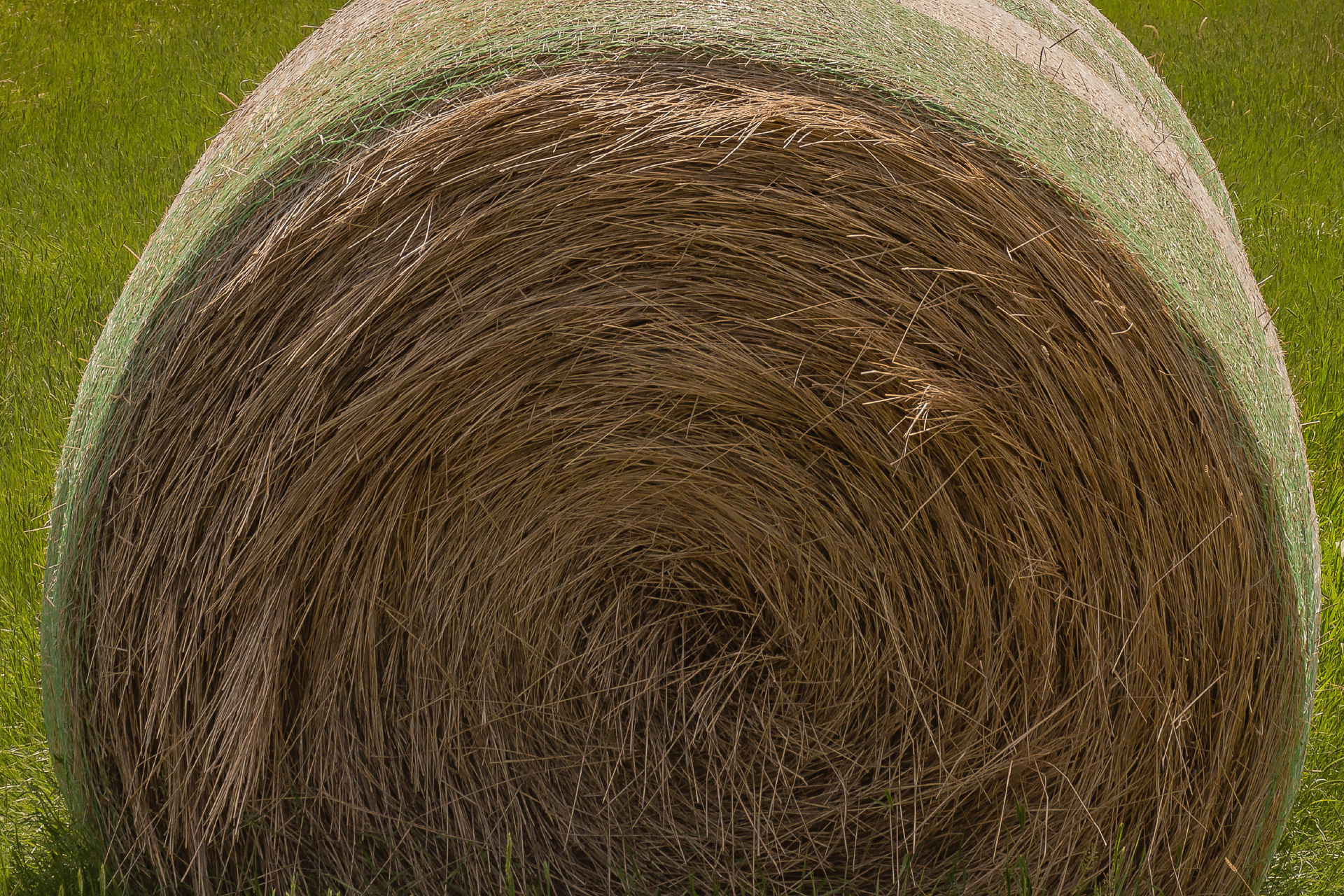 4__Caseinterview_Kvasir_1920X1280_1.jpg 4__Caseinterview_Kvasir_1920X1280_1.jpg