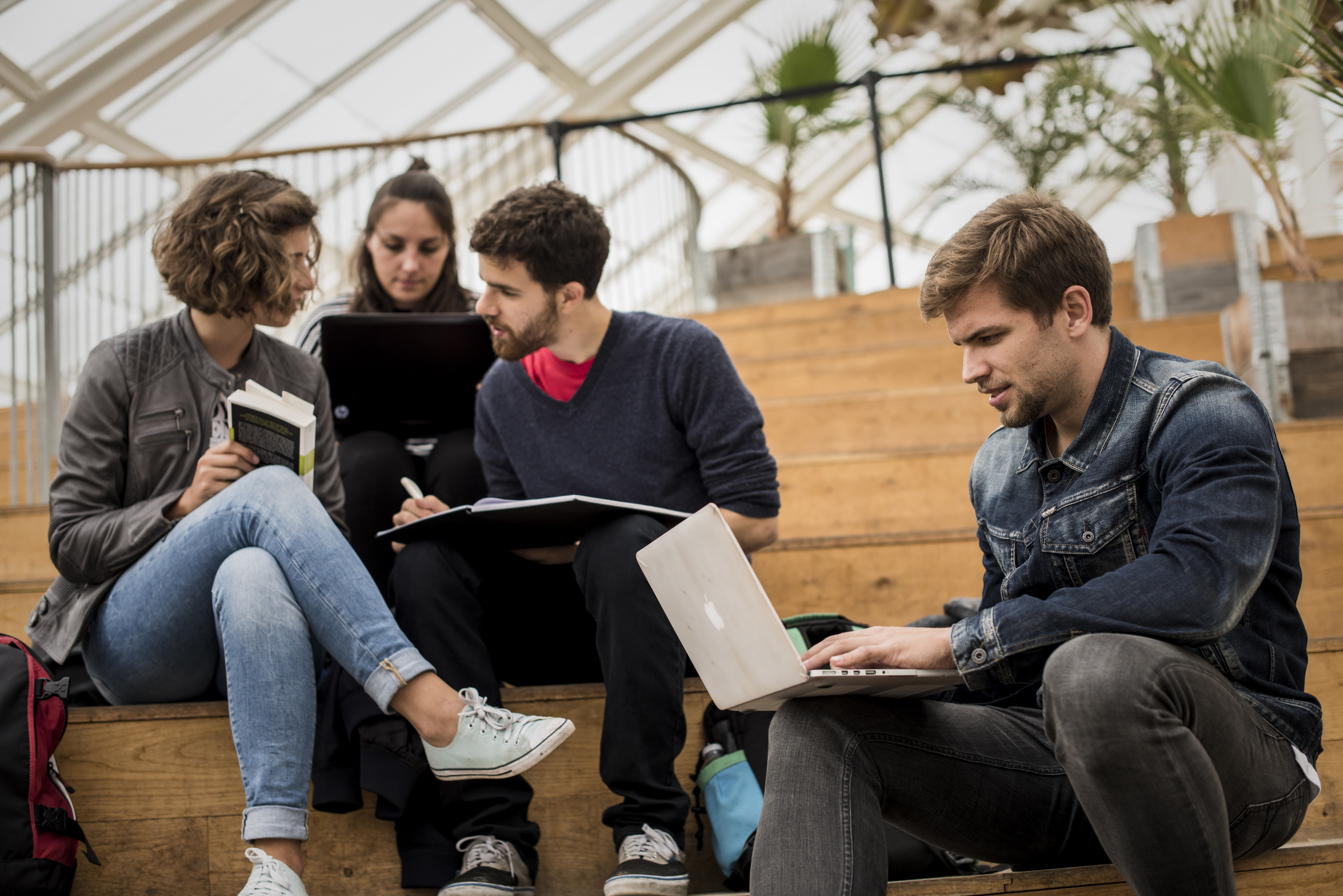 Billede fra study in denmark 2 Billede fra study in denmark 2