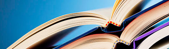 Ny-publikation-fra-RAY.jpg Ny-publikation-fra-RAY.jpg