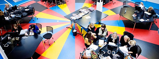 Read about professional bachelor's programmes and the seven university colleges i Denmark.