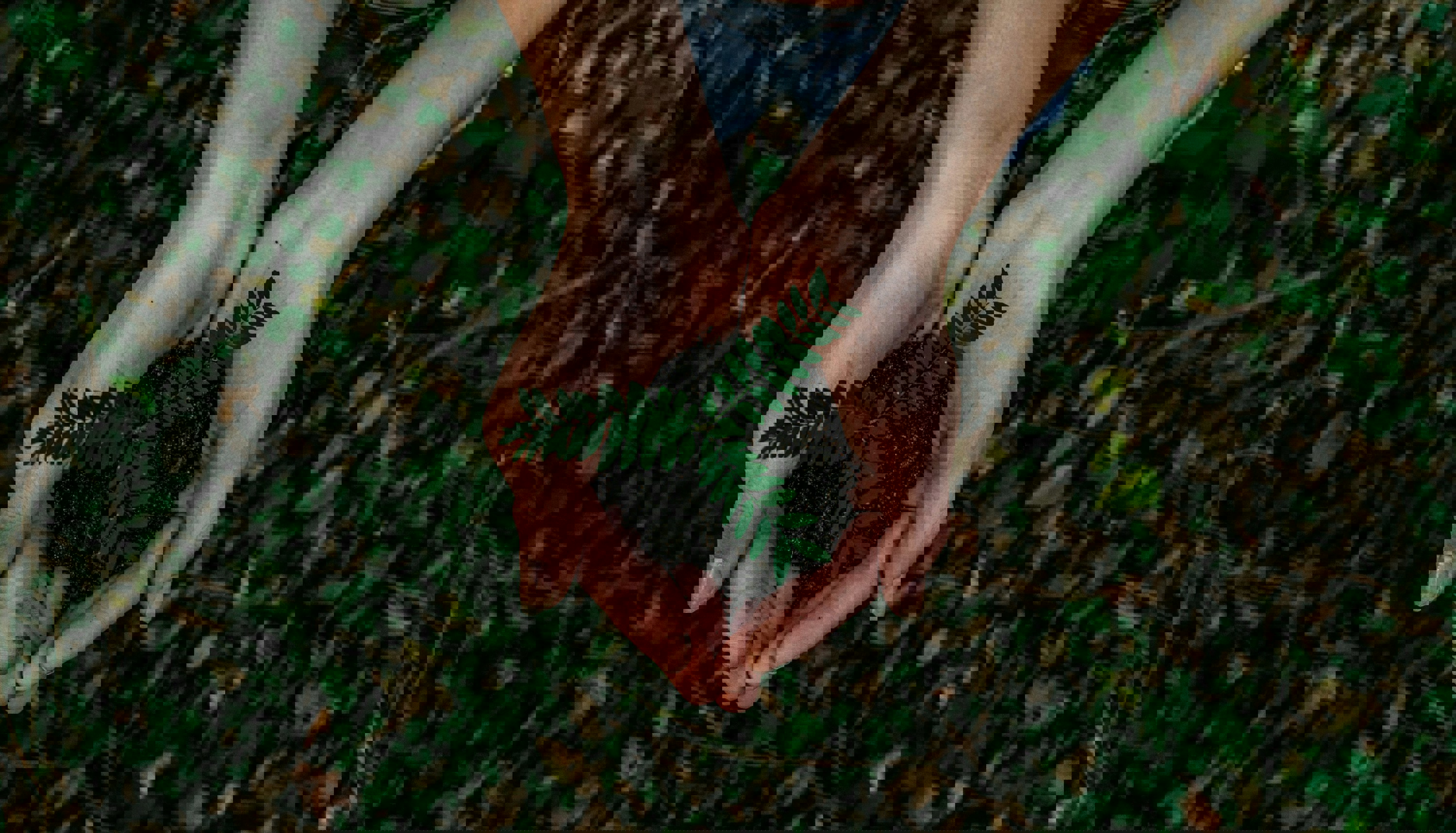 Bæredygtighed Bæredygtighed