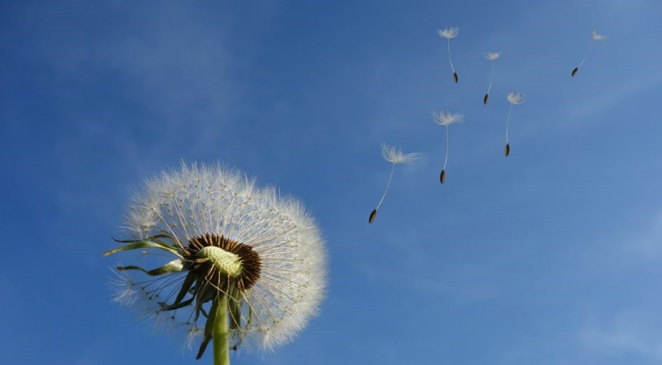 Nordplus 2022 Nordplus 2022