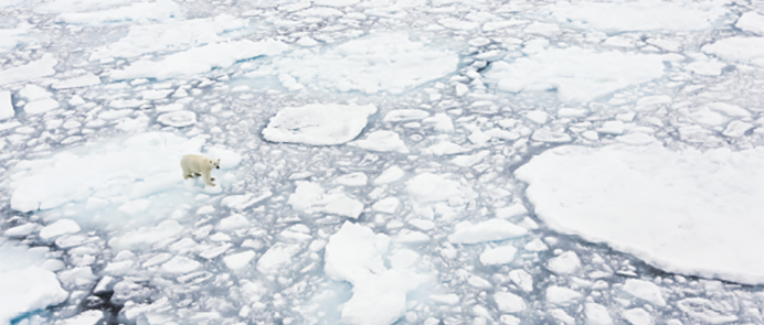 Søg tilskud til internationale samarbejdsprojekter med fokus på nye løsninger inden for bæredygtig energi og transport, klimatilpasning og grøn omstilling. Projekterne skal være med til at sikre grøn vækst, jobs og fair, inkluderende og bæredygtige løsninger til gavn for borgere, brugere og samfund.