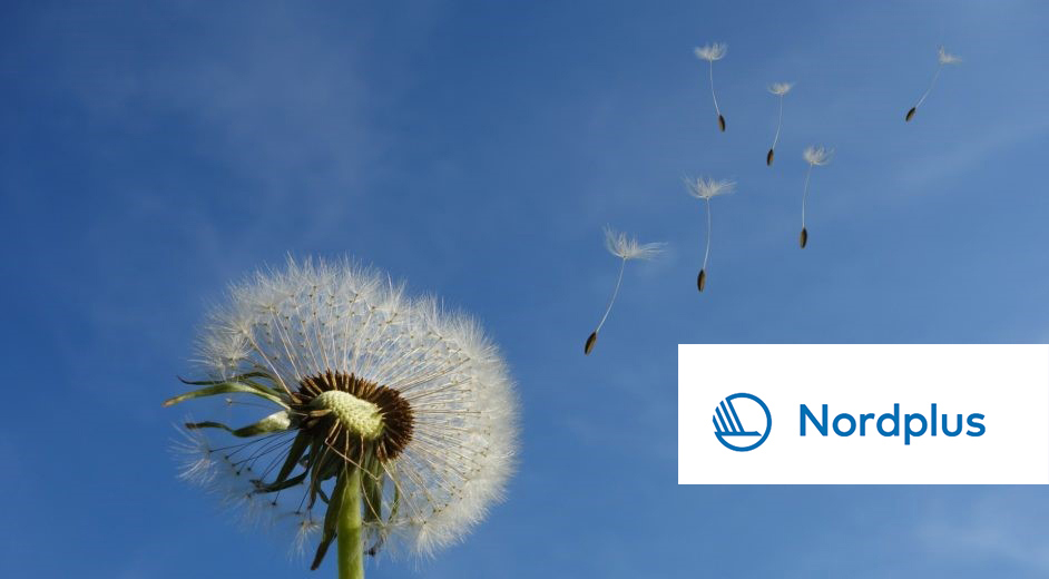 Nordplus billede med logo Nordplus billede med logo