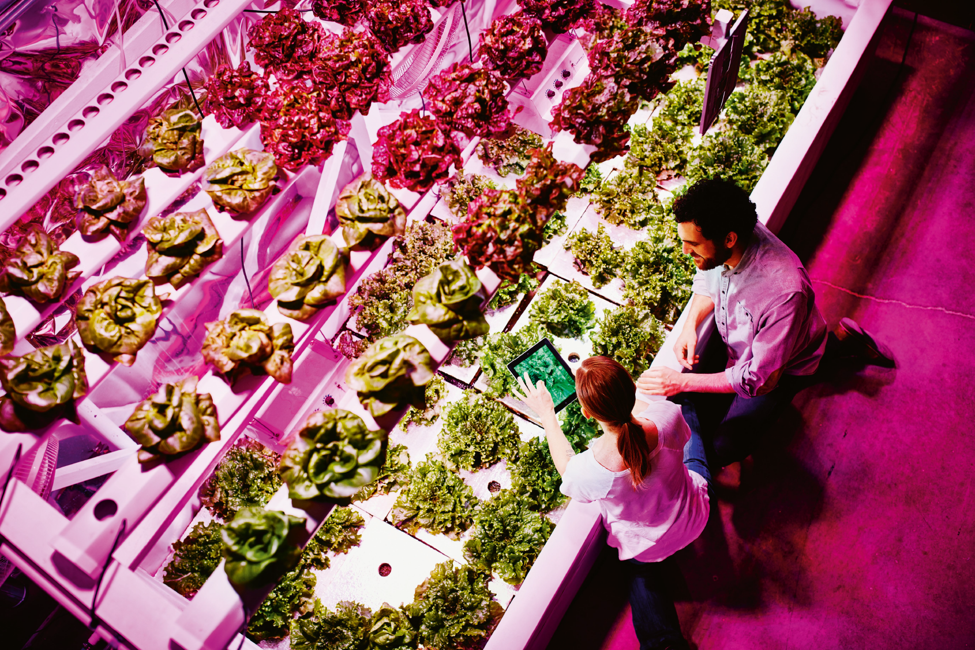 EUIndblik_22112021_1920X1280_10.png EUIndblik_22112021_1920X1280_10.png