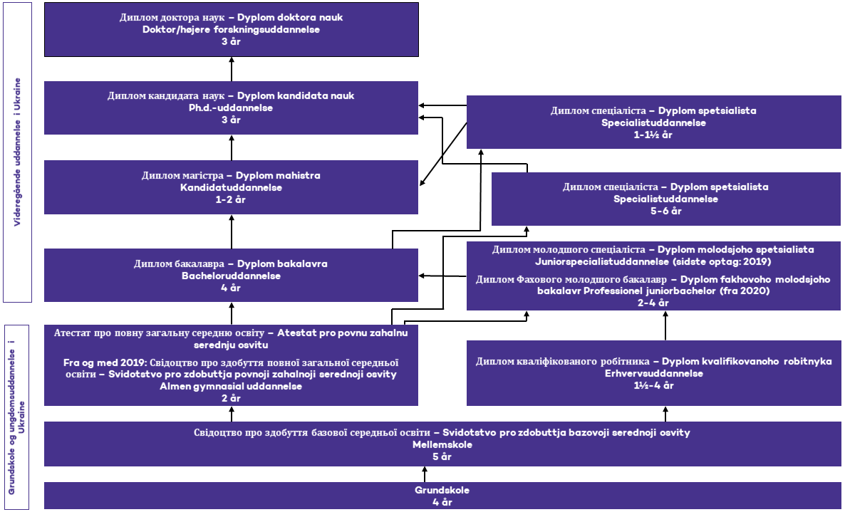 Diagram over Ukraines uddannelsessystem