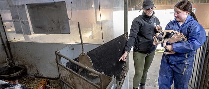 Her kan du hente inspiration og finde relevant information på området for erhvervsrettede grund- og efteruddannelser